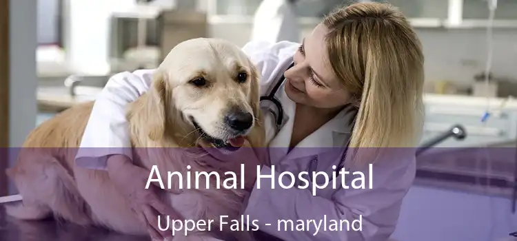 Animal Hospital Upper Falls - maryland