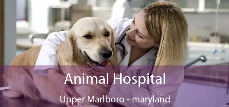 Animal Hospital Upper Marlboro - maryland
