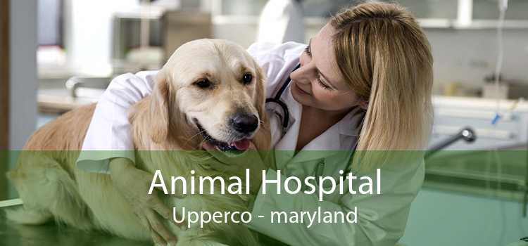 Animal Hospital Upperco - maryland