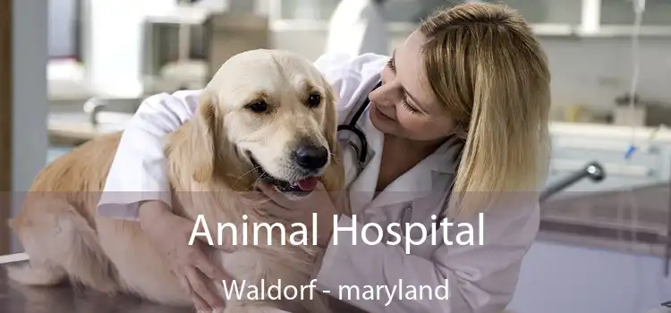 Animal Hospital Waldorf - maryland