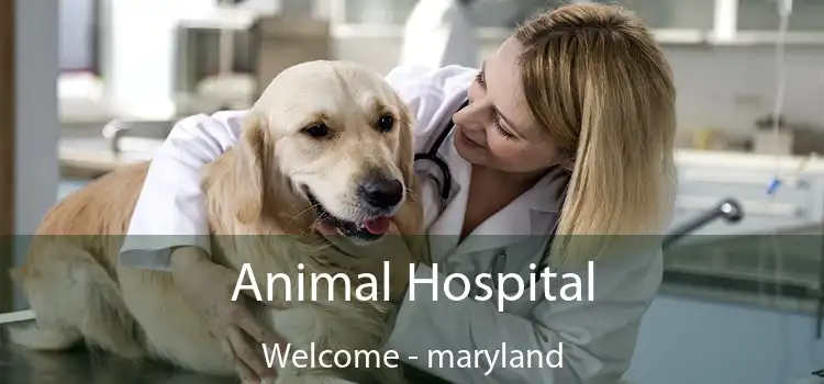 Animal Hospital Welcome - maryland