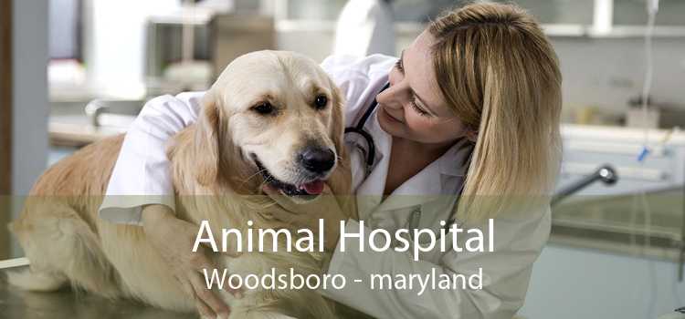Animal Hospital Woodsboro - maryland