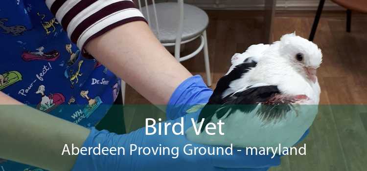 Bird Vet Aberdeen Proving Ground - maryland