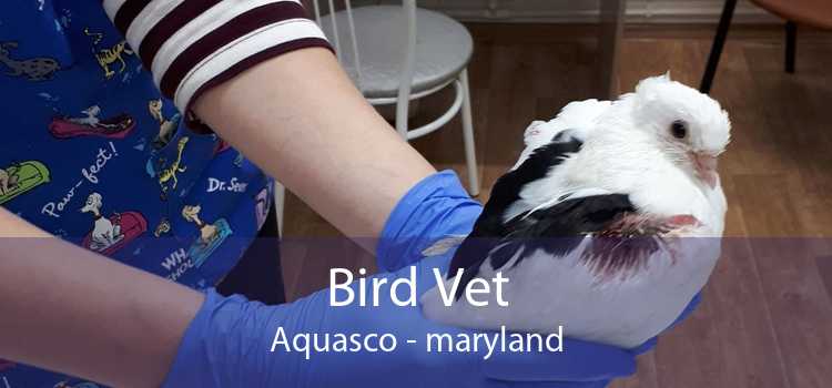 Bird Vet Aquasco - maryland