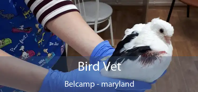 Bird Vet Belcamp - maryland