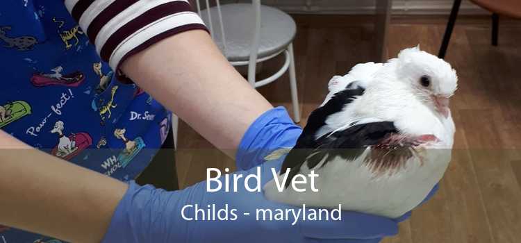 Bird Vet Childs - maryland