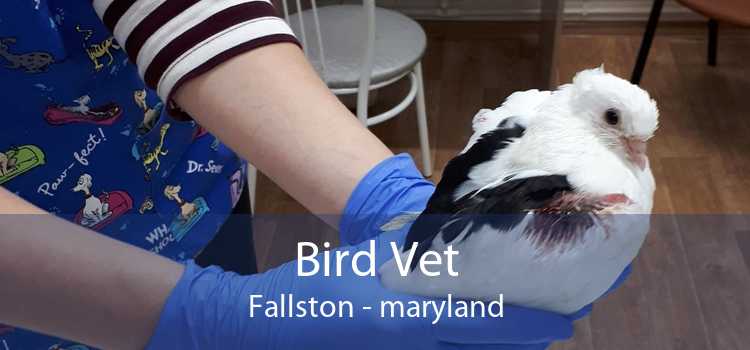 Bird Vet Fallston - maryland