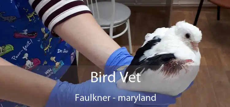 Bird Vet Faulkner - maryland