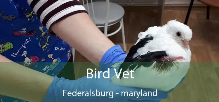 Bird Vet Federalsburg - maryland