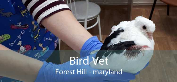 Bird Vet Forest Hill - maryland