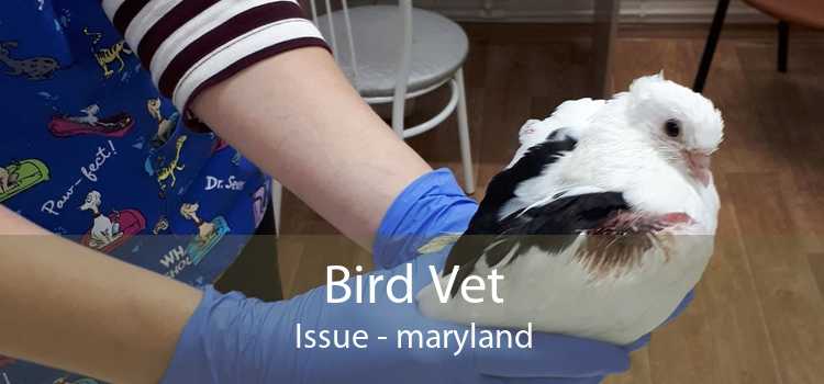 Bird Vet Issue - maryland