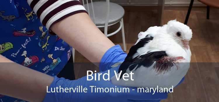 Bird Vet Lutherville Timonium - maryland