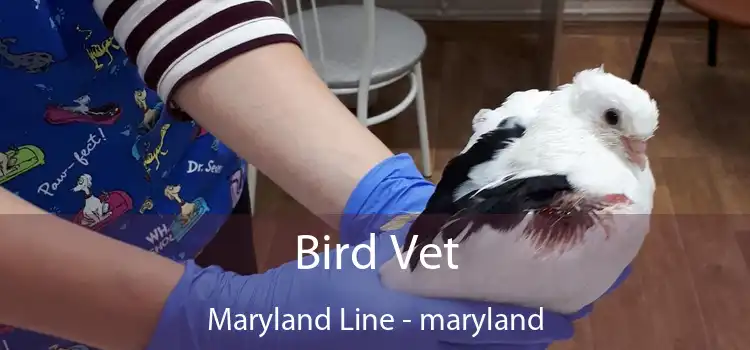 Bird Vet Maryland Line - maryland
