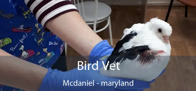 Bird Vet Mcdaniel - maryland
