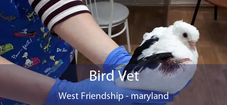 Bird Vet West Friendship - maryland