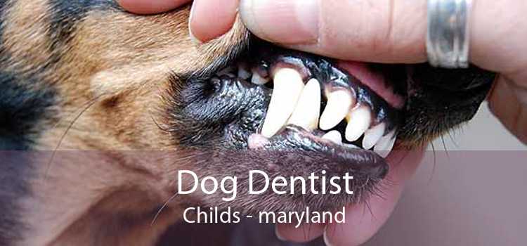 Dog Dentist Childs - maryland