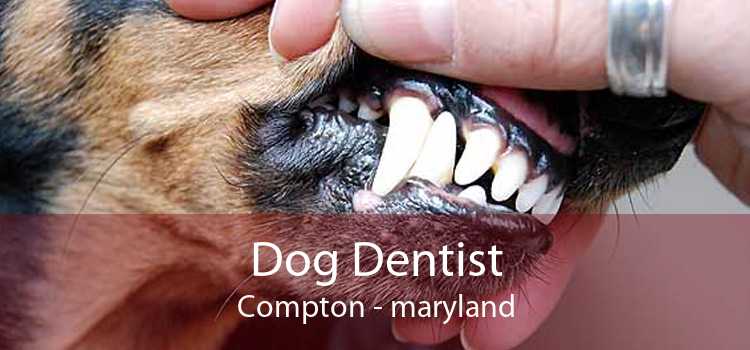 Dog Dentist Compton - maryland
