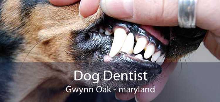 Dog Dentist Gwynn Oak - maryland