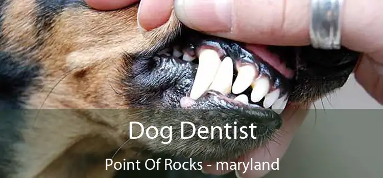 Dog Dentist Point Of Rocks - maryland
