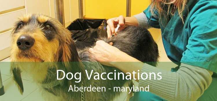Dog Vaccinations Aberdeen - maryland