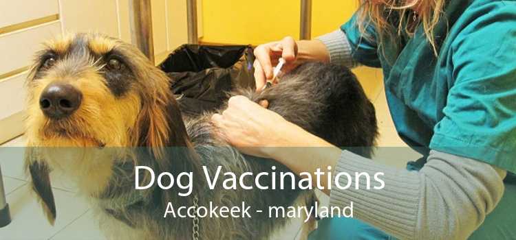 Dog Vaccinations Accokeek - maryland