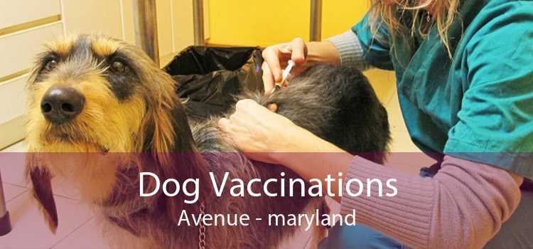 Dog Vaccinations Avenue - maryland