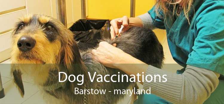 Dog Vaccinations Barstow - maryland