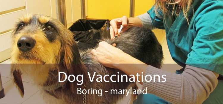 Dog Vaccinations Boring - maryland