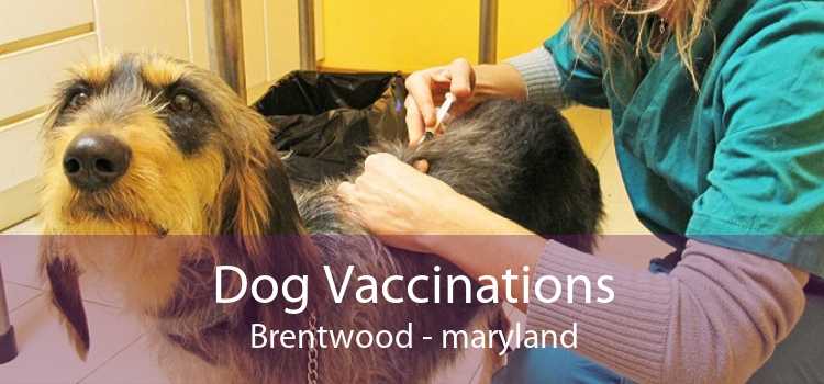 Dog Vaccinations Brentwood - maryland