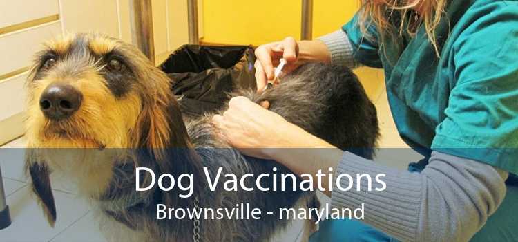 Dog Vaccinations Brownsville - maryland