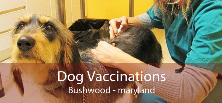 Dog Vaccinations Bushwood - maryland