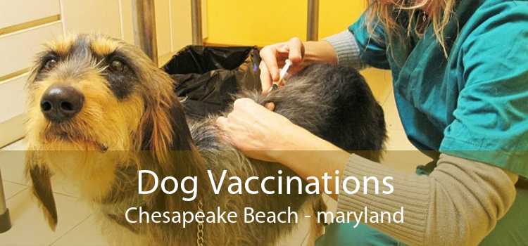 Dog Vaccinations Chesapeake Beach - maryland