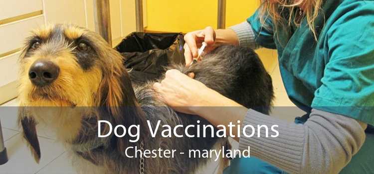 Dog Vaccinations Chester - maryland