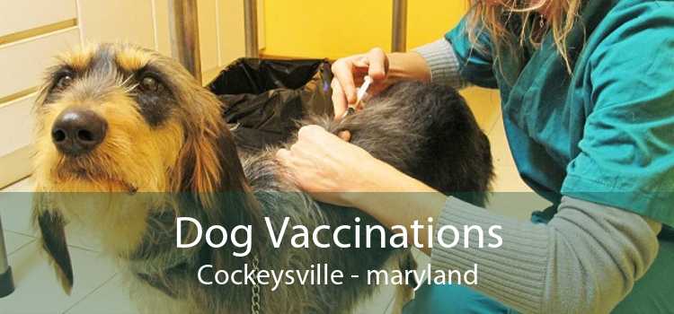 Dog Vaccinations Cockeysville - maryland