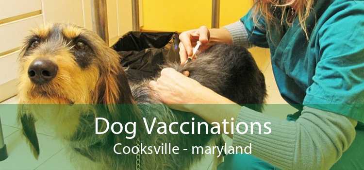 Dog Vaccinations Cooksville - maryland
