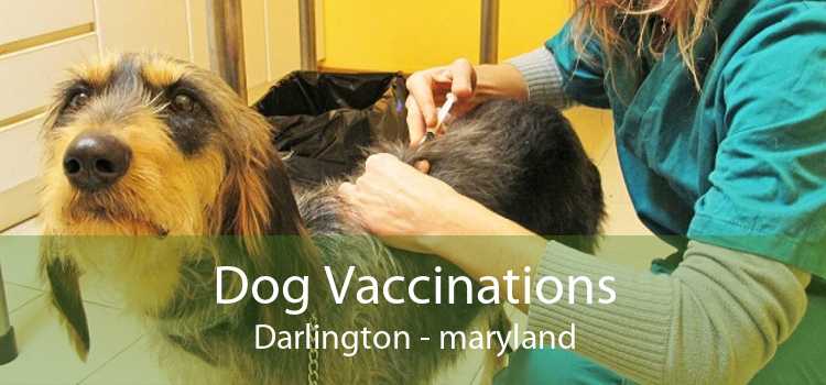 Dog Vaccinations Darlington - maryland
