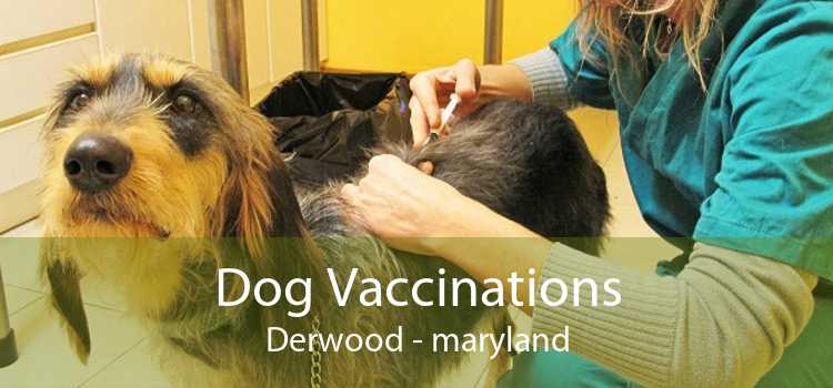 Dog Vaccinations Derwood - maryland