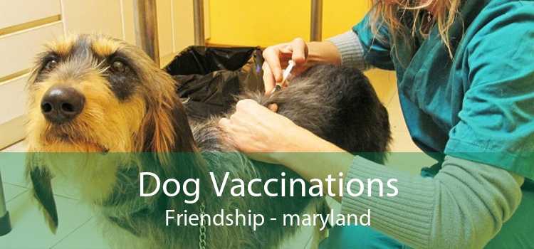 Dog Vaccinations Friendship - maryland