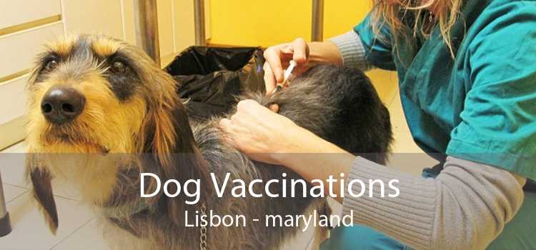 Dog Vaccinations Lisbon - maryland