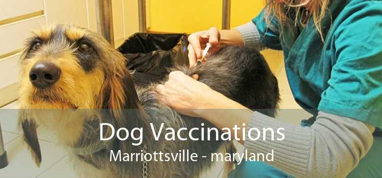 Dog Vaccinations Marriottsville - maryland