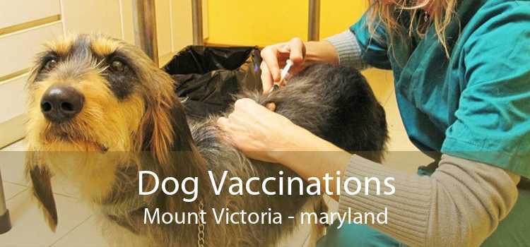 Dog Vaccinations Mount Victoria - maryland