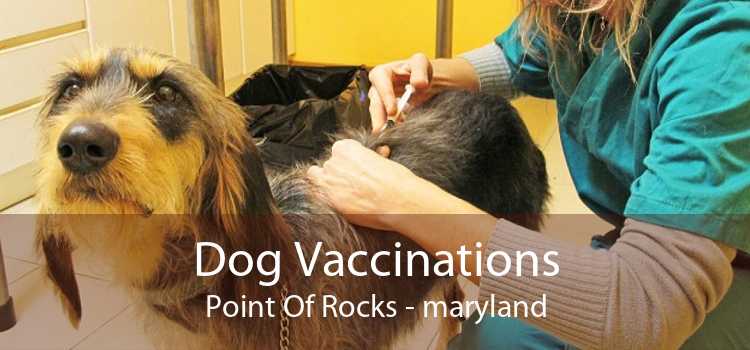 Dog Vaccinations Point Of Rocks - maryland