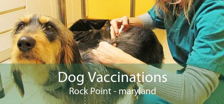 Dog Vaccinations Rock Point - maryland