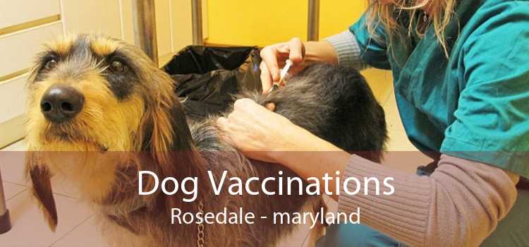 Dog Vaccinations Rosedale - maryland