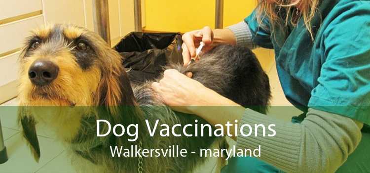 Dog Vaccinations Walkersville - maryland