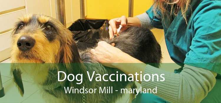 Dog Vaccinations Windsor Mill - maryland