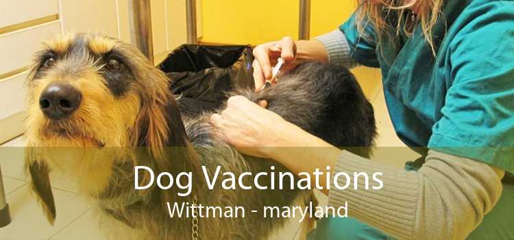 Dog Vaccinations Wittman - maryland