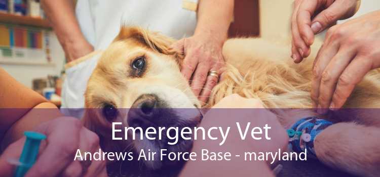 Emergency Vet Andrews Air Force Base - maryland