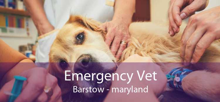 Emergency Vet Barstow - maryland