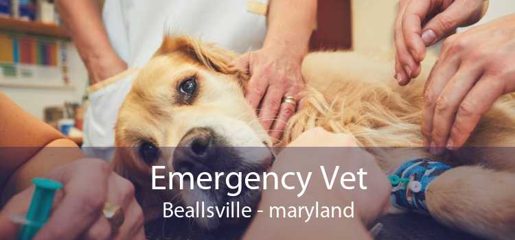 Emergency Vet Beallsville - maryland